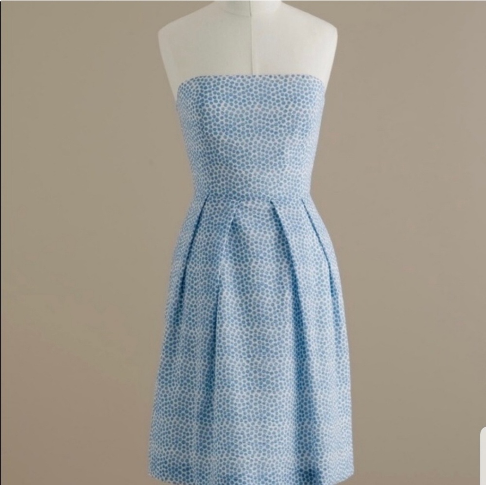 J Crew Blue and White Lorelei Dress